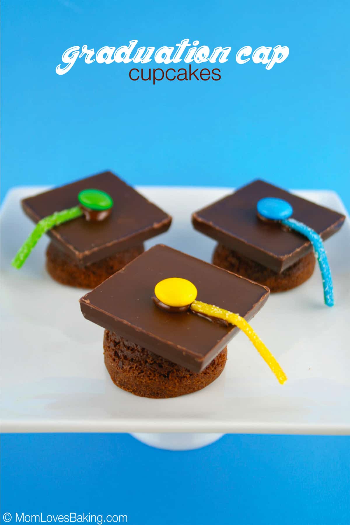 Brown Plaid Birthday Background Edible Cake and Cupcake 