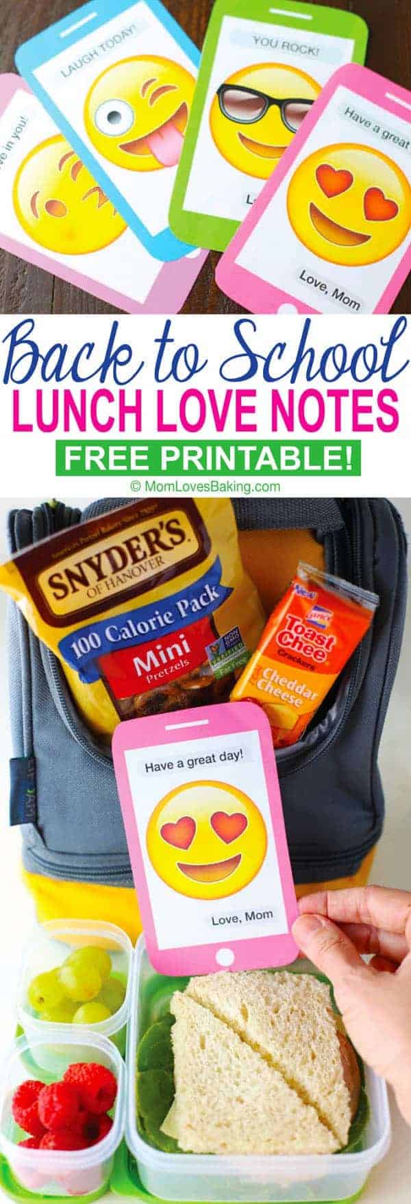 https://www.momlovesbaking.com/wp-content/uploads/2017/07/Back-To-School-Lunch-Love-Notes-Long2.jpg