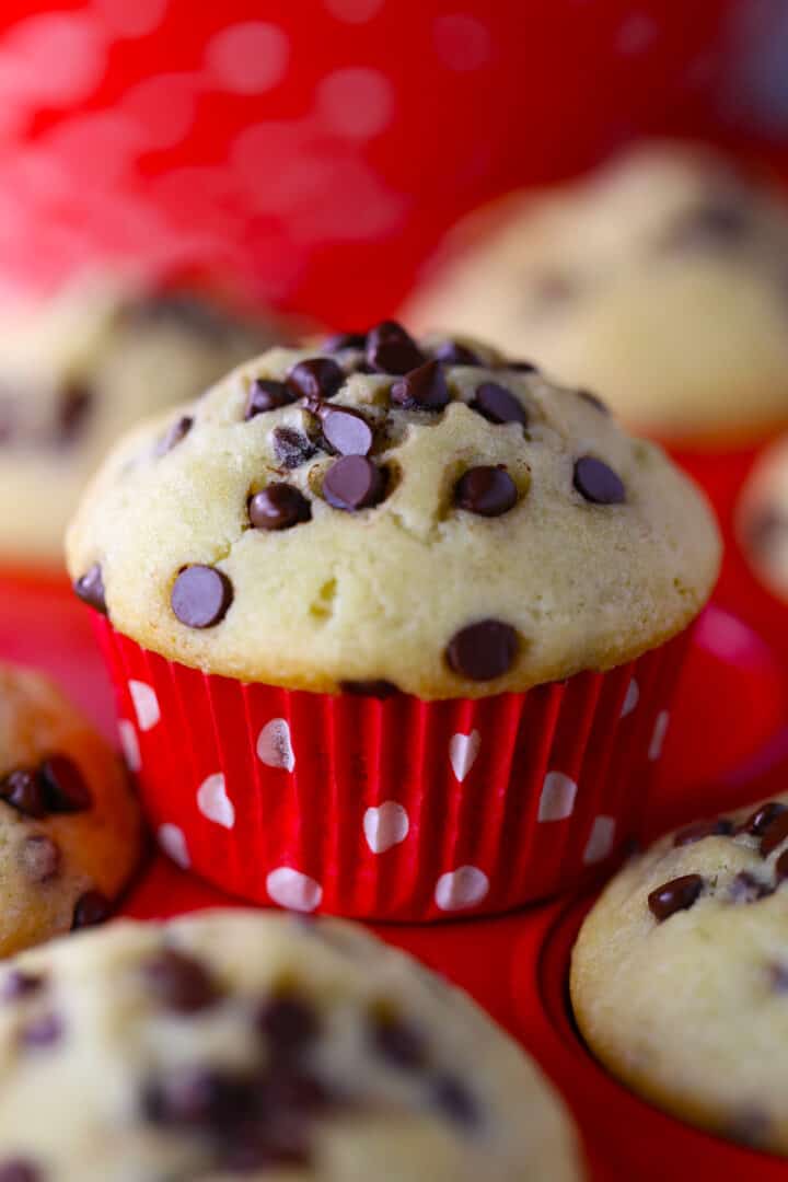 Bakery Style Chocolate Chip Muffins Mom Loves Baking