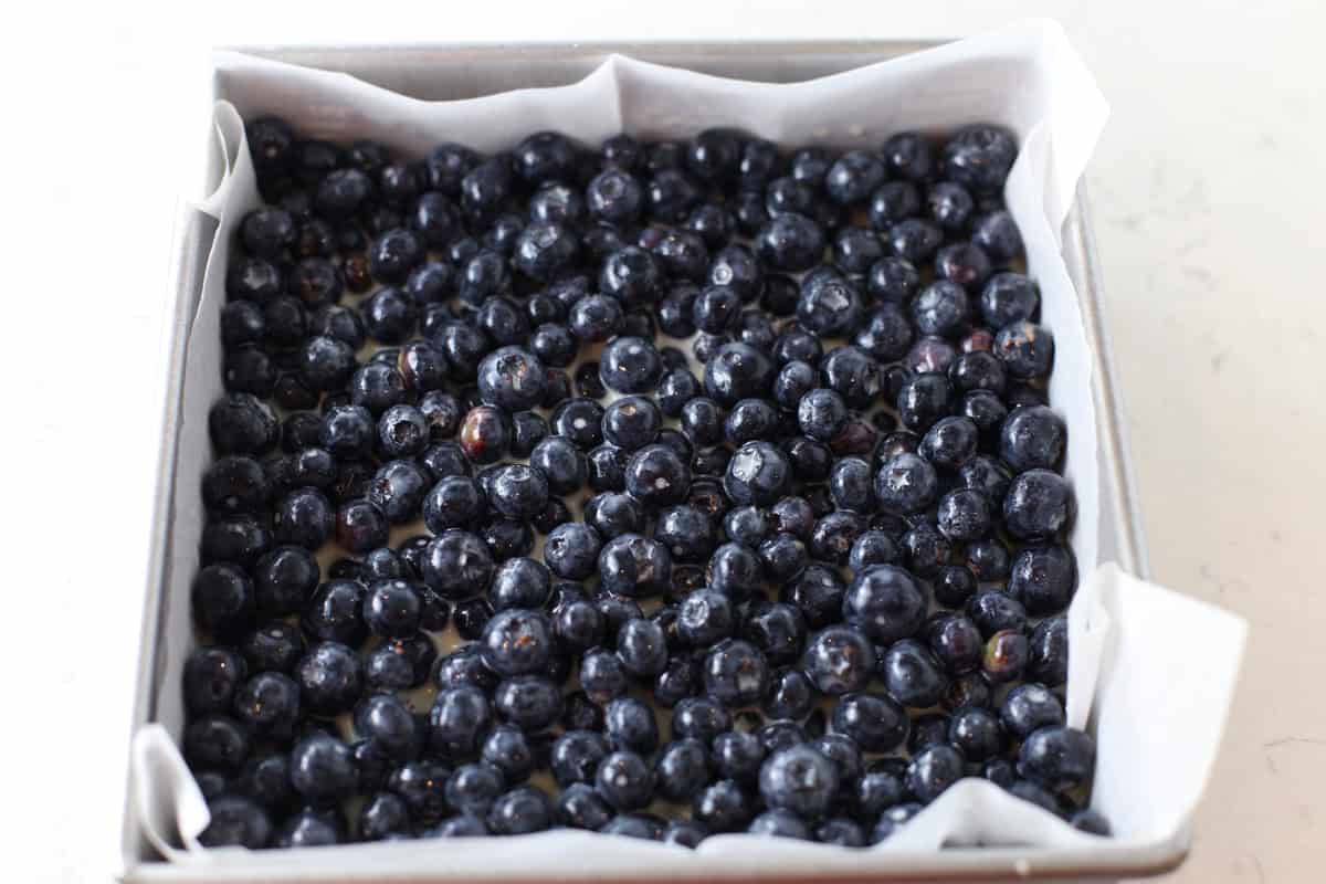 Fresh blueberries in pie.