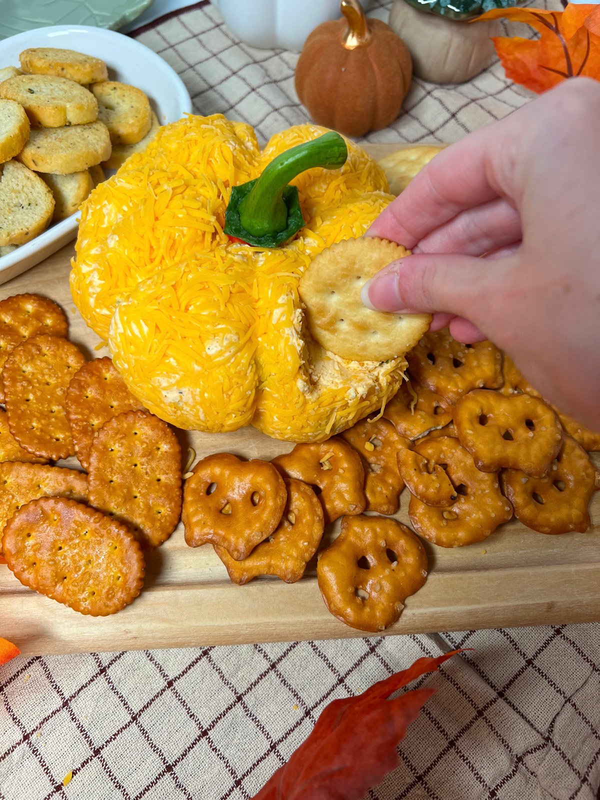 Dipping a cracker into pumpkin cheeseball.